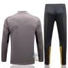 BVB Borussia Dortmund Trainings Sweatshirt Pak Quarter-zip 2022-23 Lichtgrijze - Heren